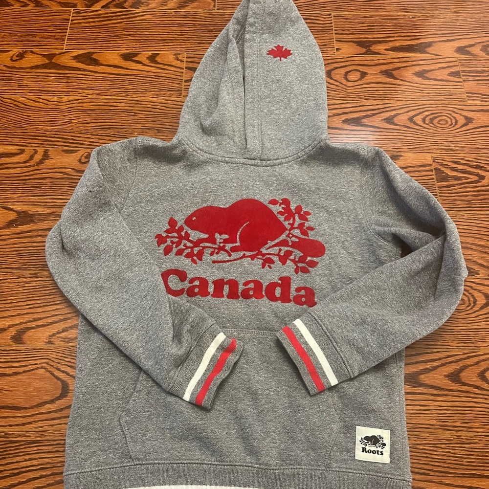 Roots pullover hoodie